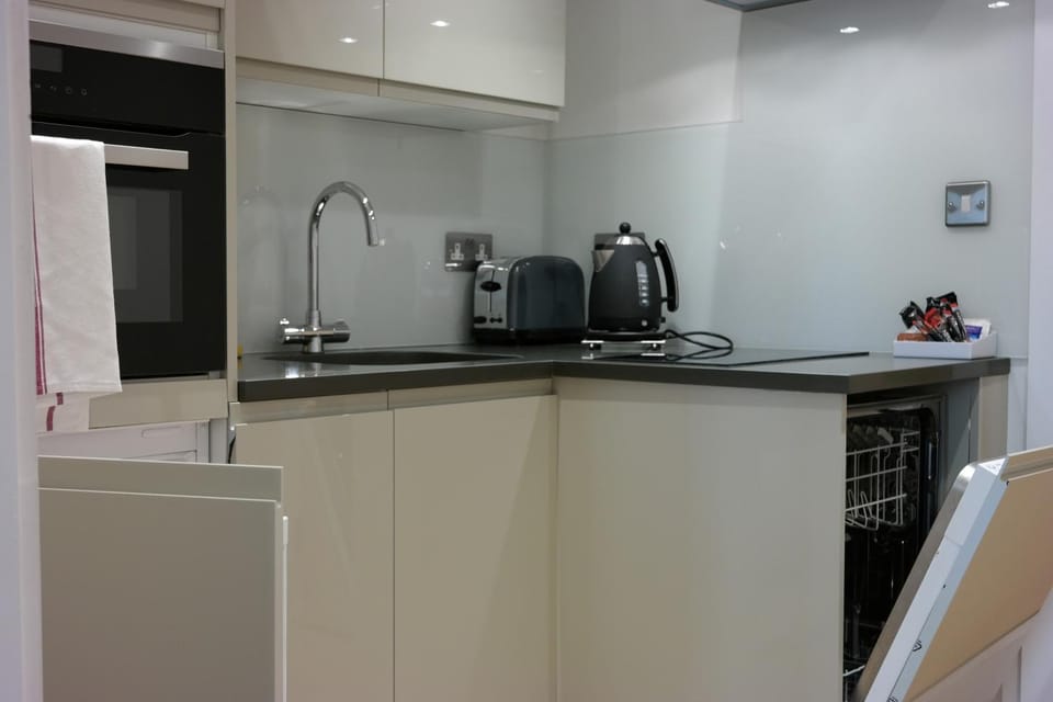 Kitchen or kitchenette, dishwasher