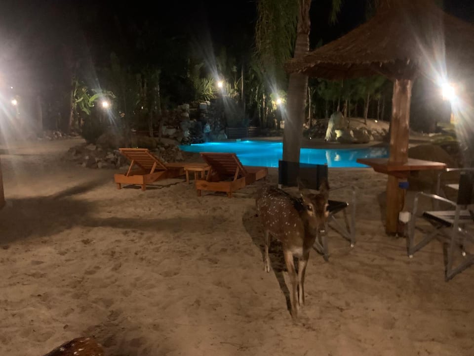 Swimming pool