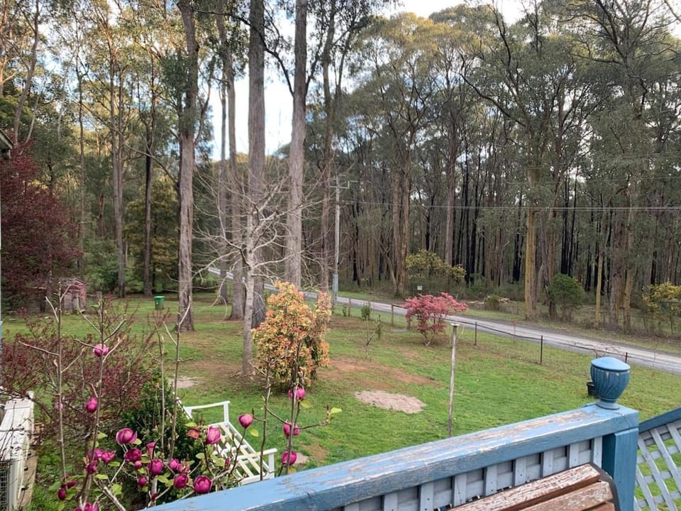 Retreat in a beautiful forest! Apartment in Victoria