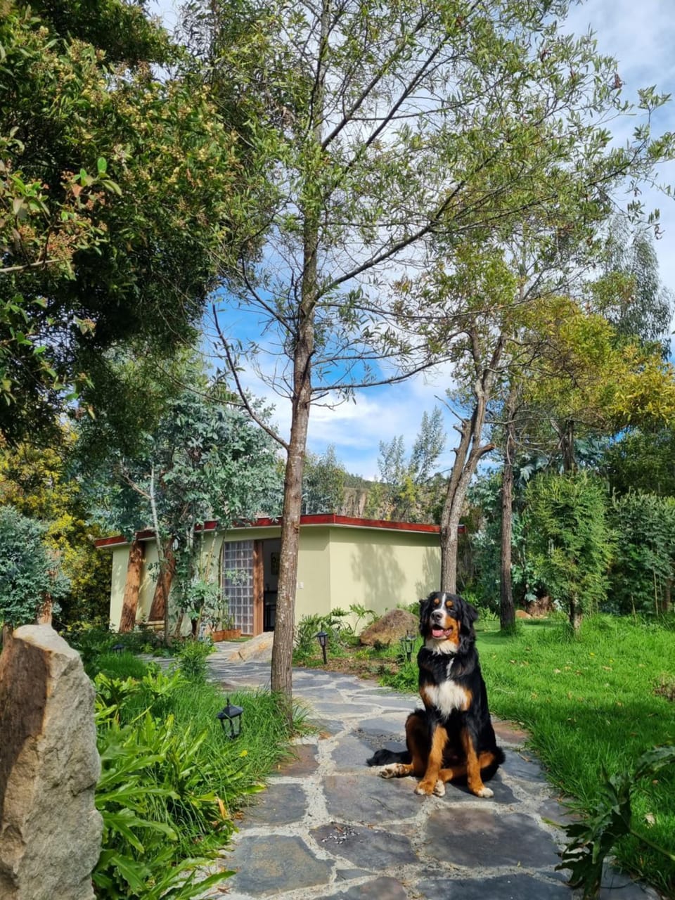 Casa del Bosque Luxury tent in Cundinamarca, Colombia