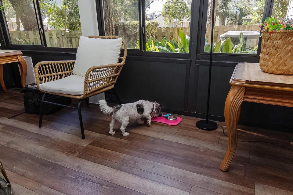 pet friendly