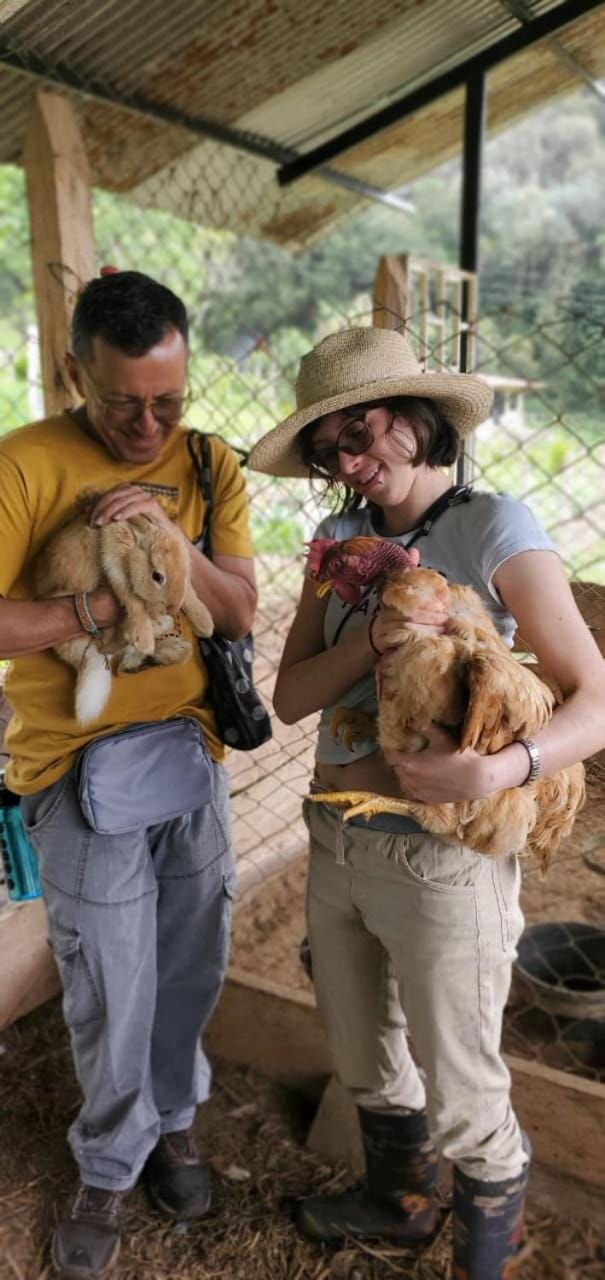 Activities, Activities, Animals, Pets, group of guests