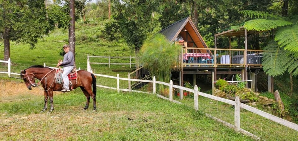 Activities, Activities, Garden view, Mountain view