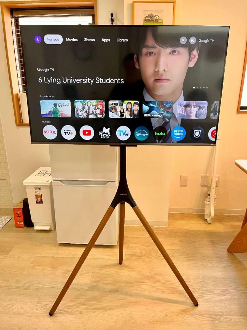 TV and multimedia