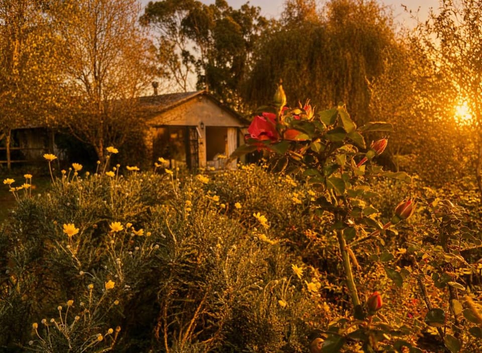 Cozy Farm Cottage with Fireplace on Stanmore Farm Apartment in KwaZulu-Natal