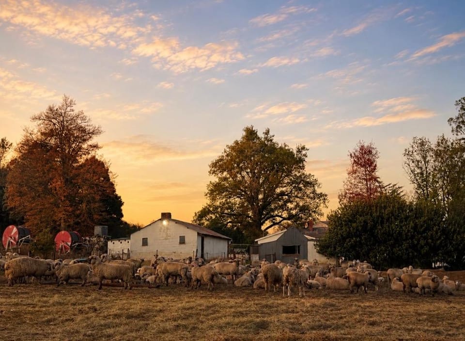 Cozy Farm Cottage with Fireplace on Stanmore Farm Apartment in KwaZulu-Natal