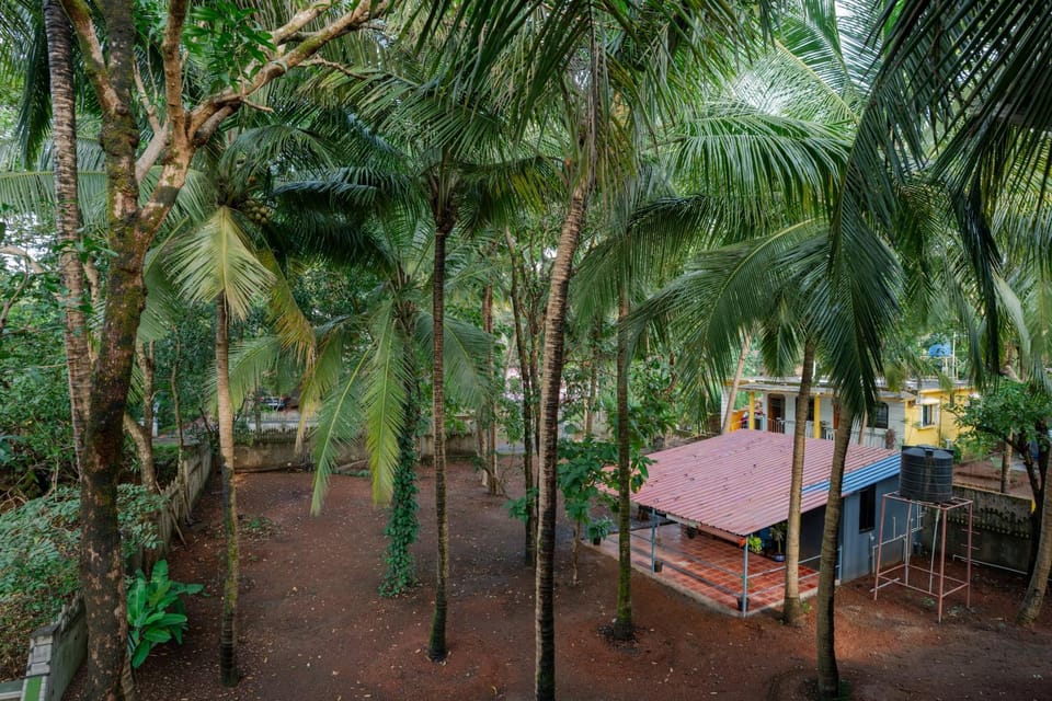 1BHK Private Goan Cottage in a Peaceful Palm Grove Bed and Breakfast in Agonda