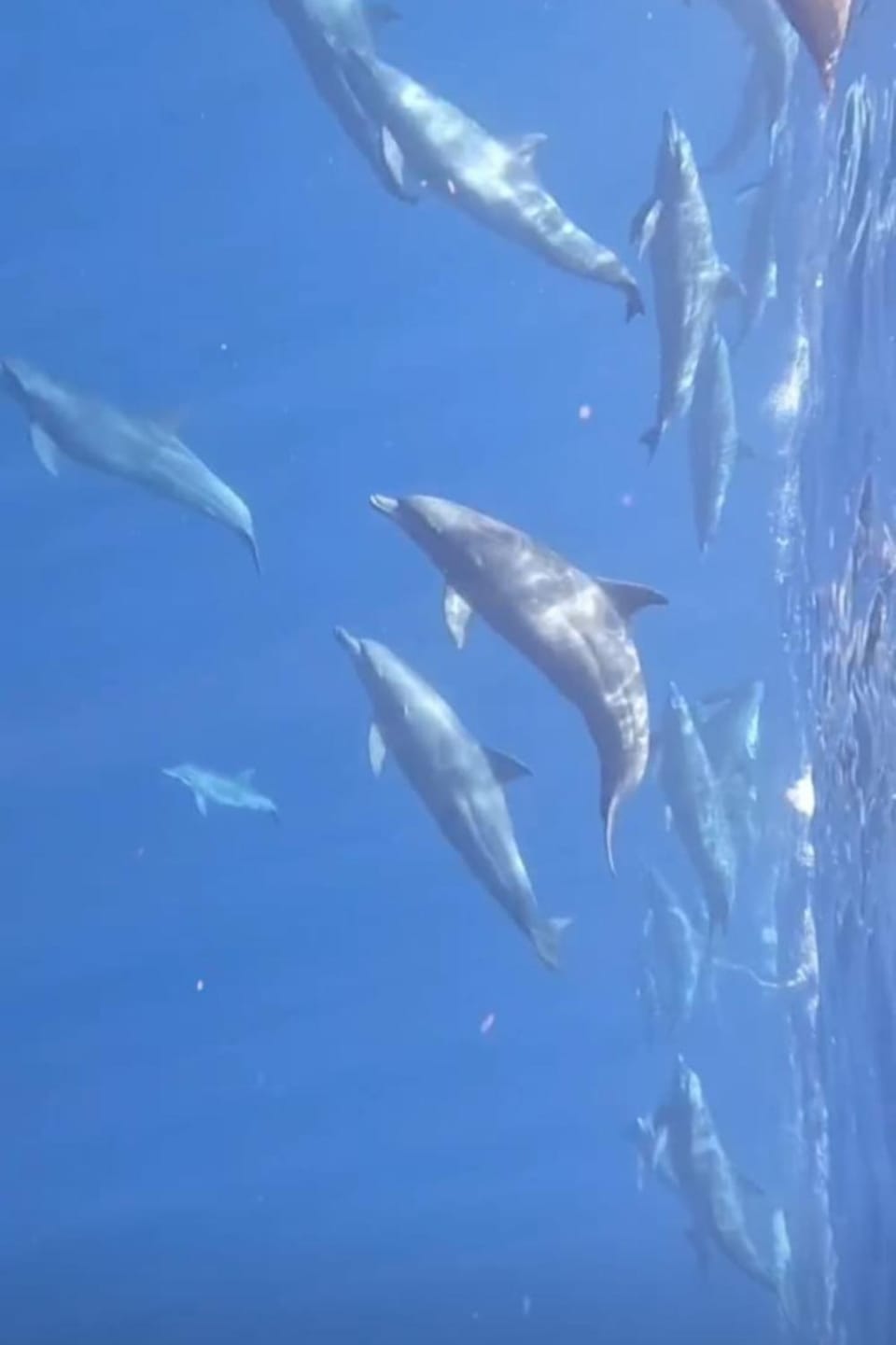 Snorkeling