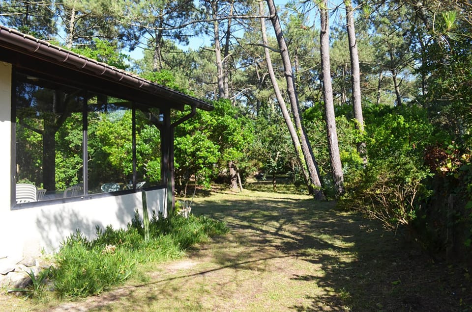 Villa Auriel Labenne-Océan House in Labenne
