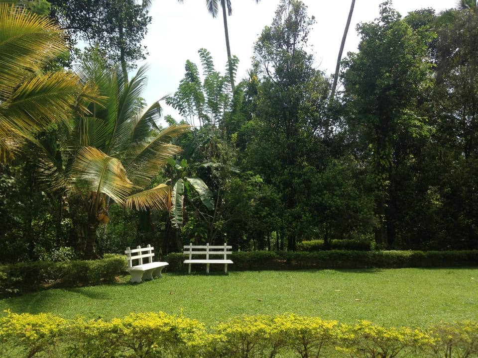 Day, Garden
