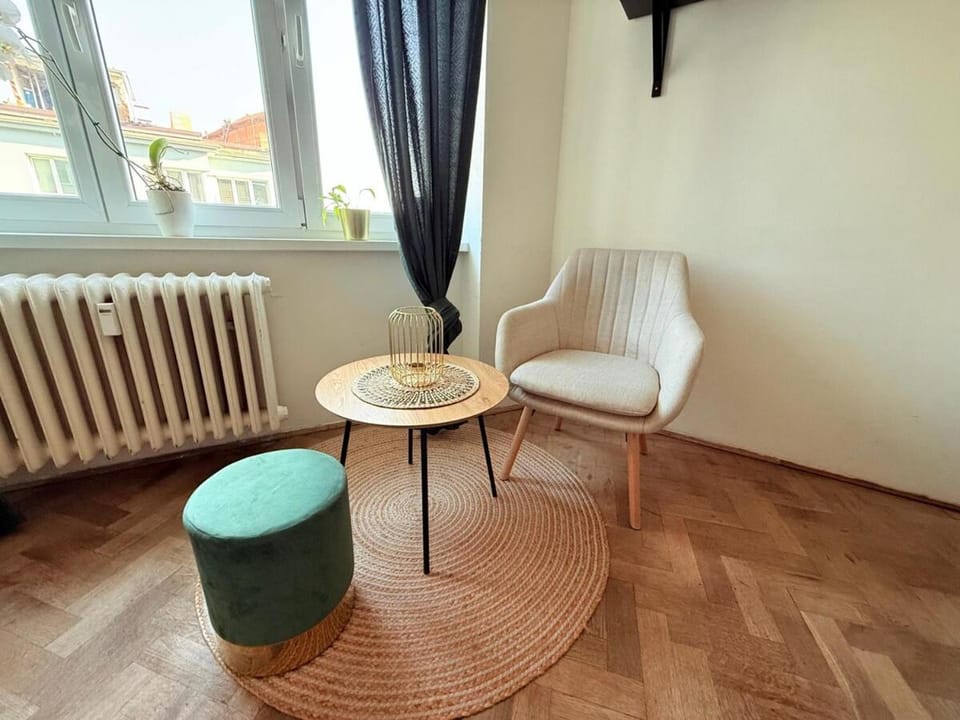 Cosy flat in city center - right bellow Špilberk castle Apartment in Brno
