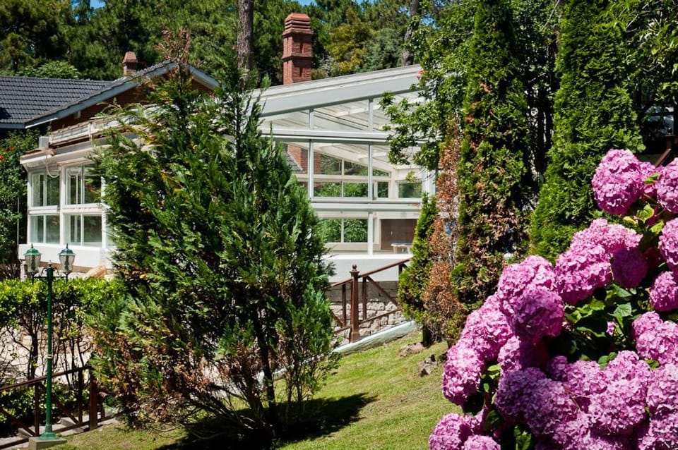 Day, Garden, Other
