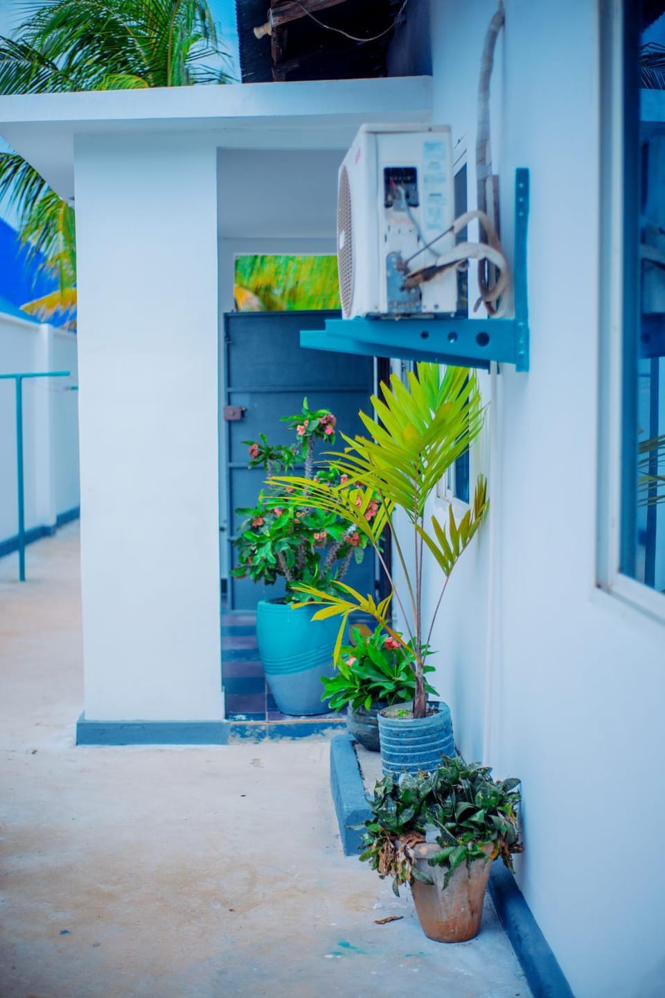 Garden, Garden view