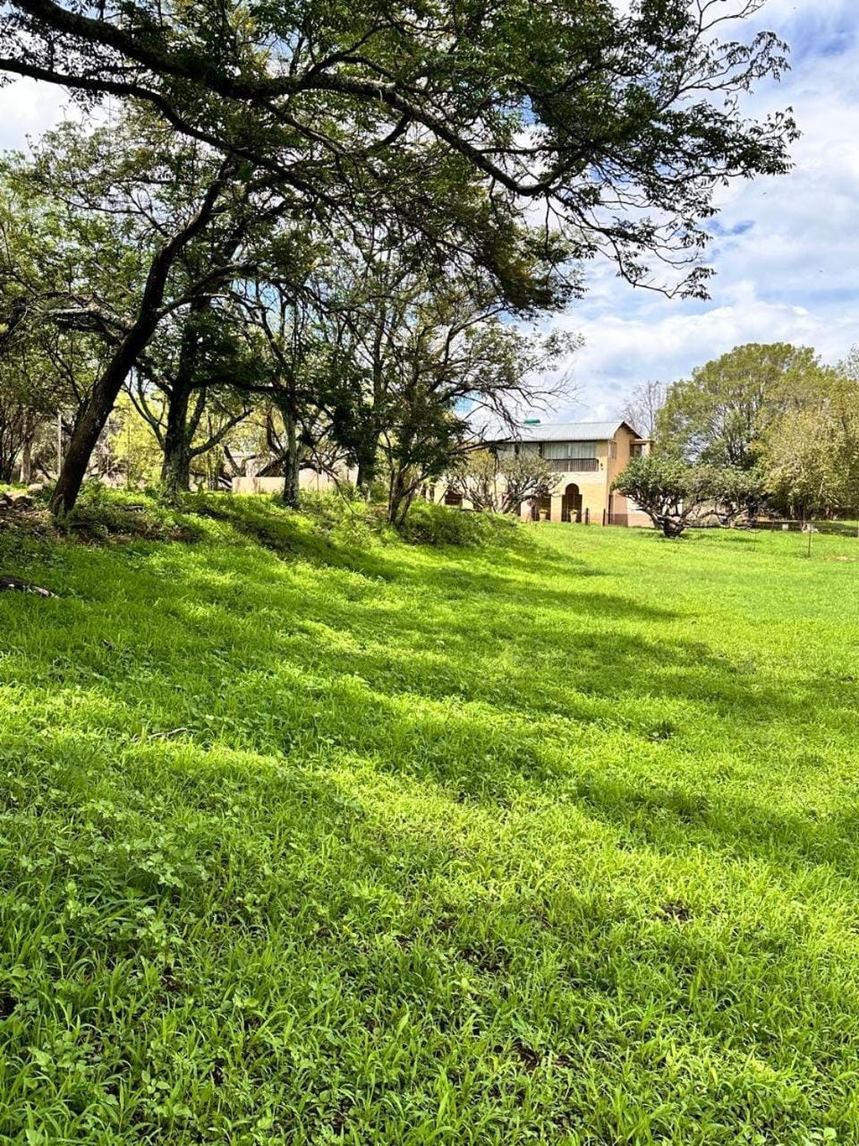 Natural landscape