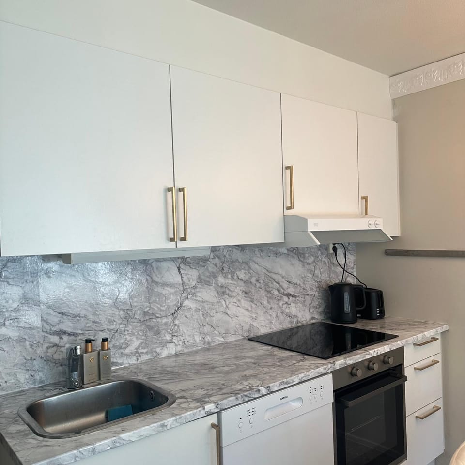 Stort Rom i felleskap Vacation rental in Oslo