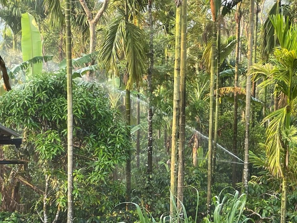 Coffee Mist Retreat House in Karnataka