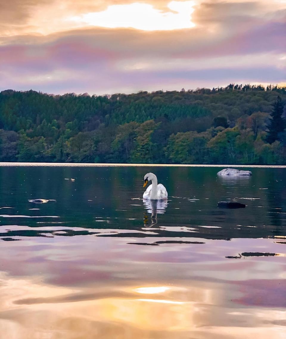 Walkers Boathouse - Luxury Lakeside Retreat House in Bowness-on-Windermere