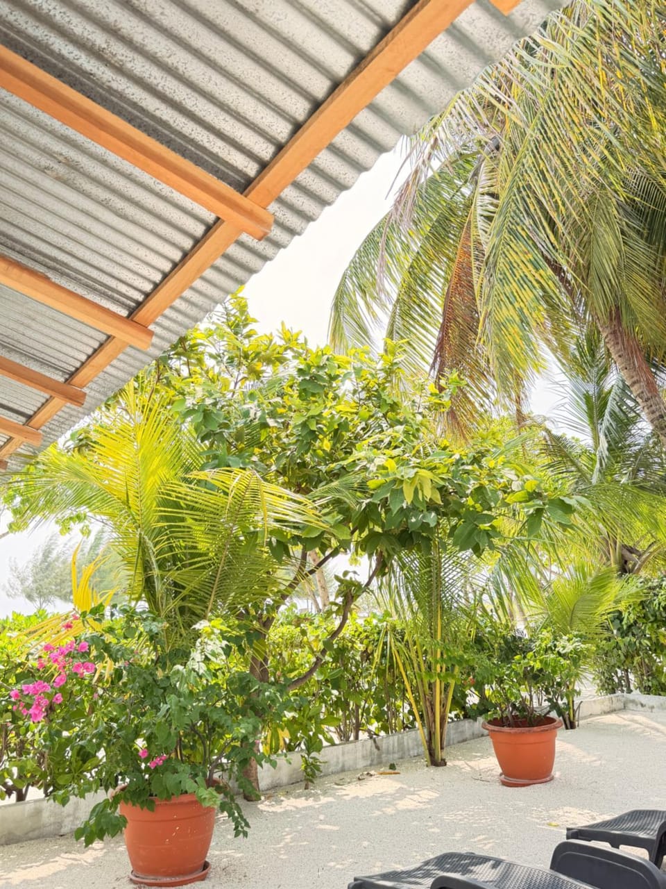 Garden, Garden view