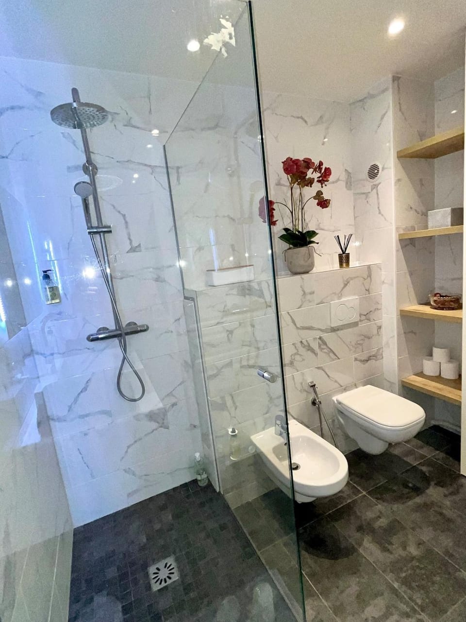 Shower, bidet, towels