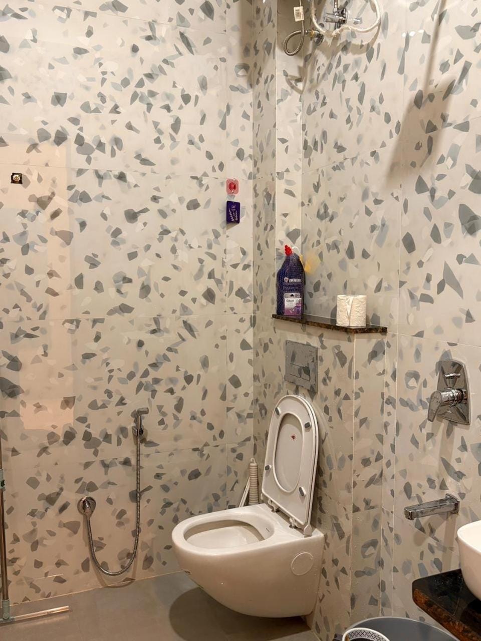Shower, Toilet, Bathroom
