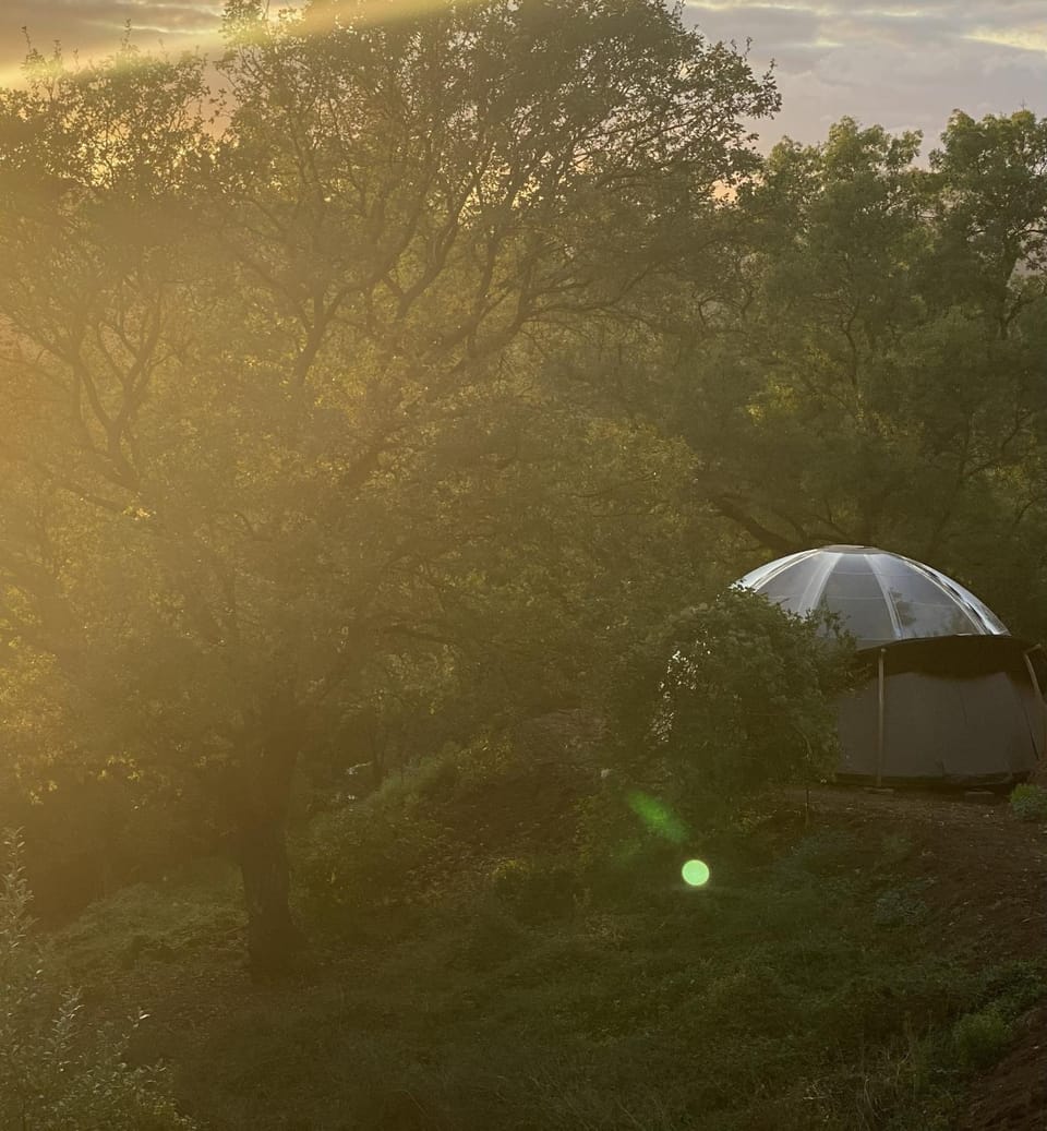 Natural landscape, View (from property/room), Sunset