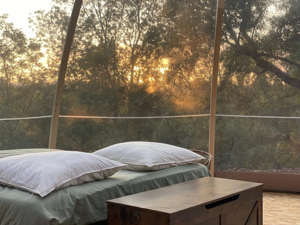 Bed, Natural landscape, Bedroom, Sunset