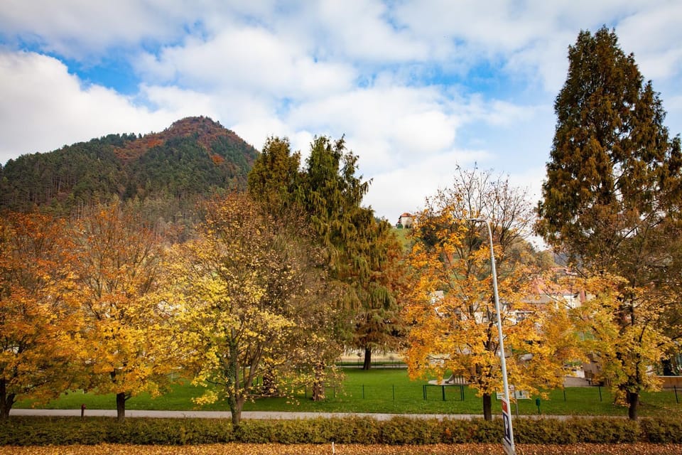 Landmark view