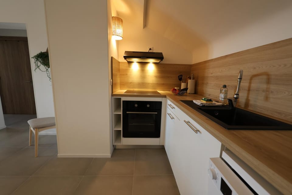 Kitchen or kitchenette, dishwasher, stove