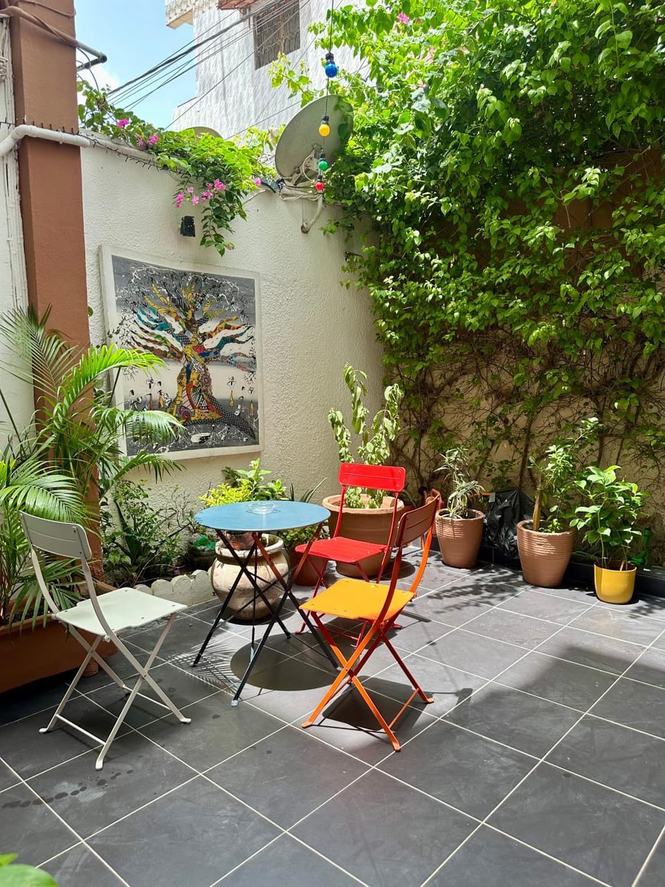 Garden