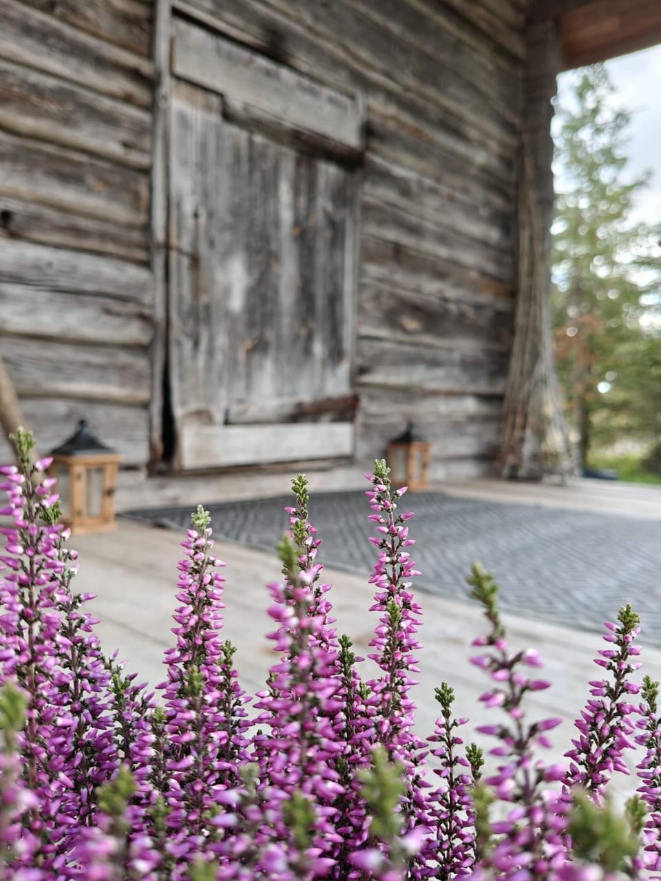 Villa Totonmäki Iin Kuivaniemessä Chalet in Finland