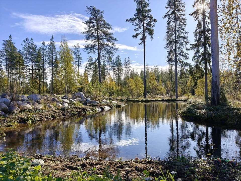 Villa Totonmäki Iin Kuivaniemessä Chalet in Finland