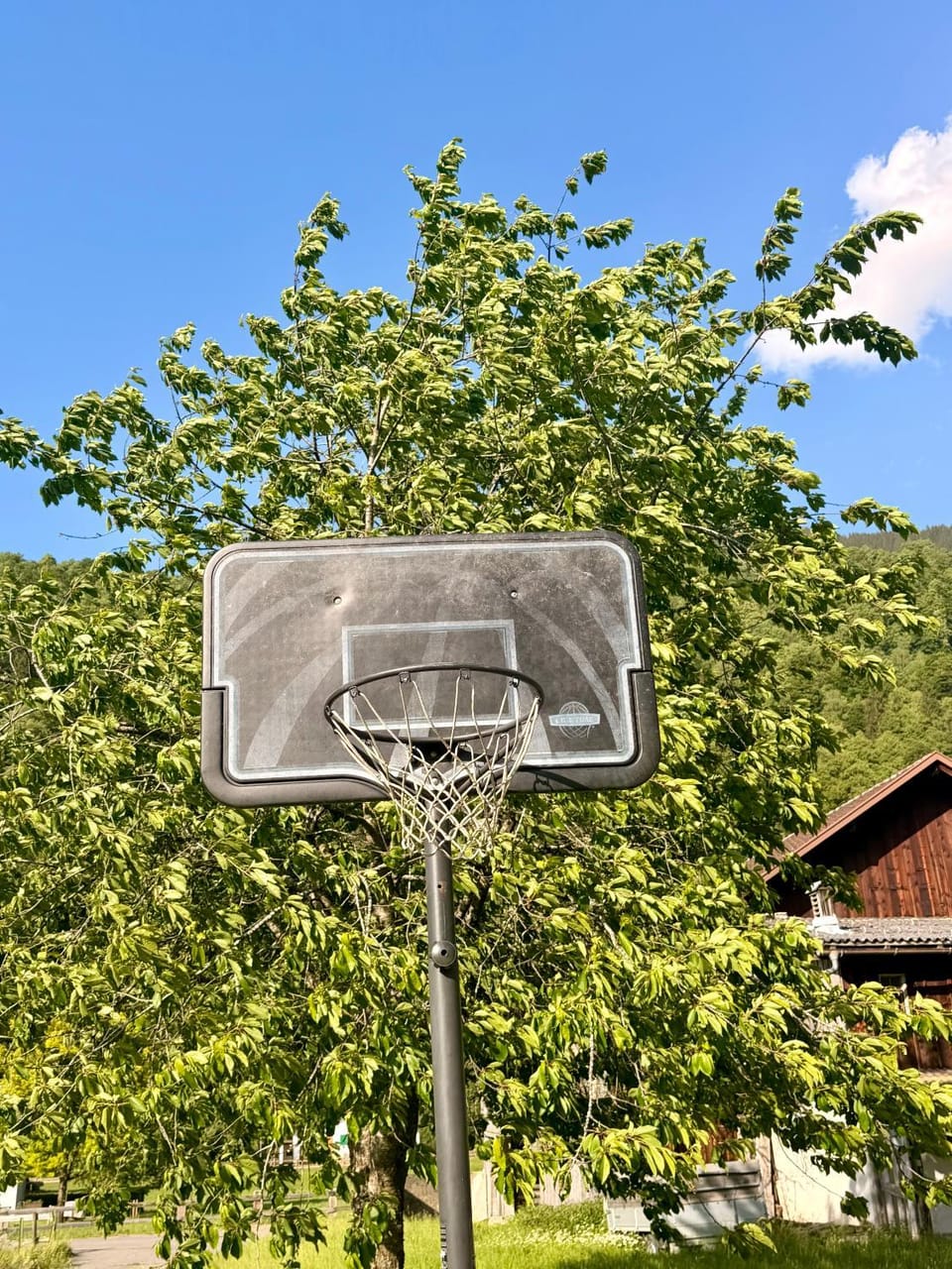 Sports