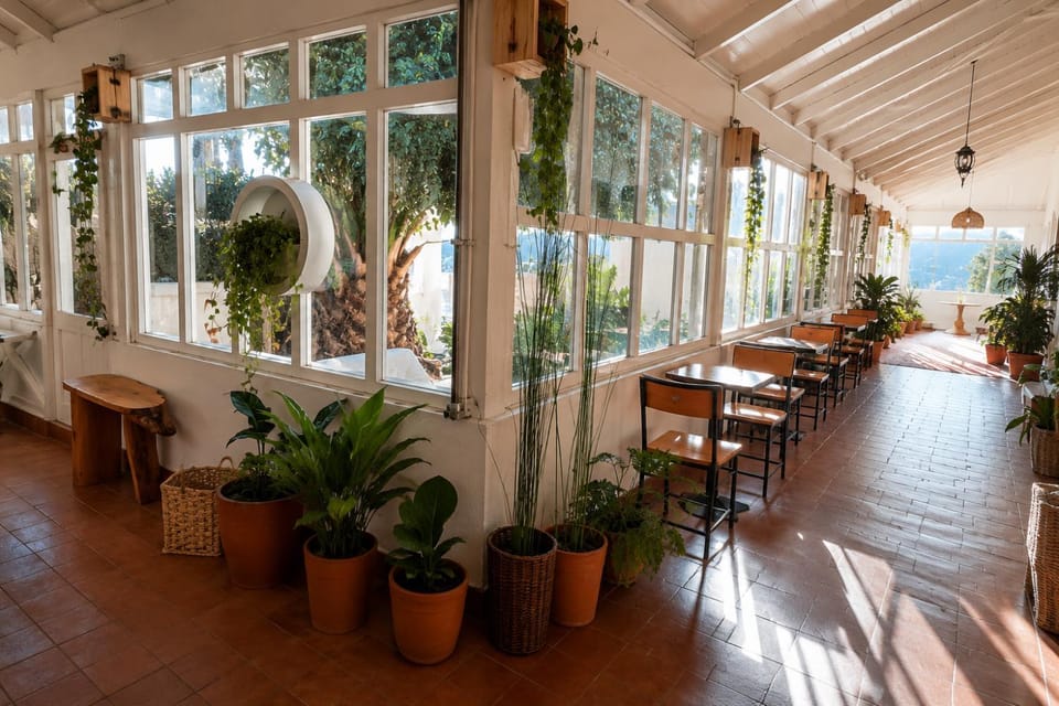 Day, Garden, Garden view