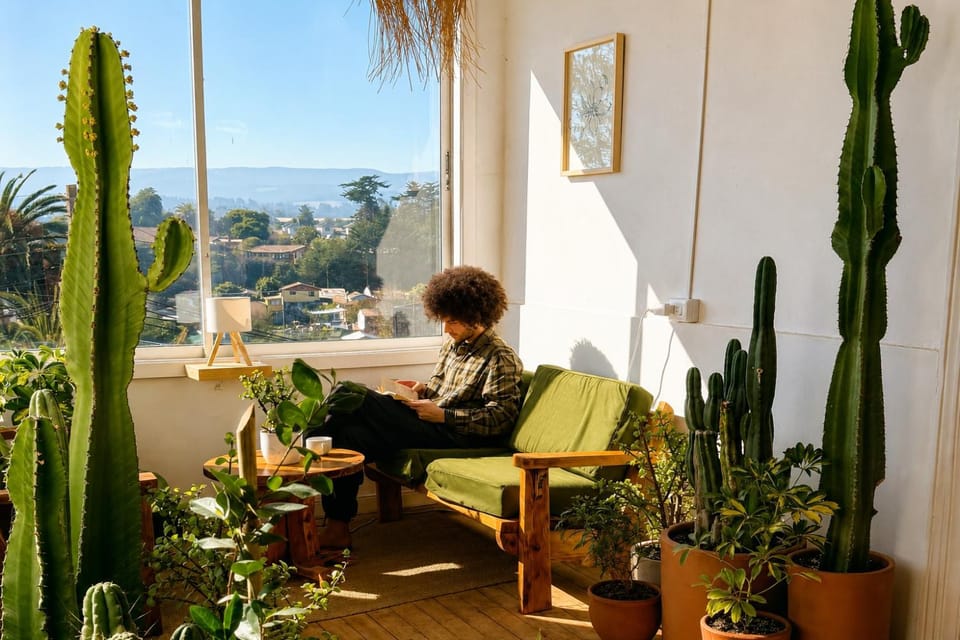 Spring, Day, People, Garden, Living room, Seating area, Garden view