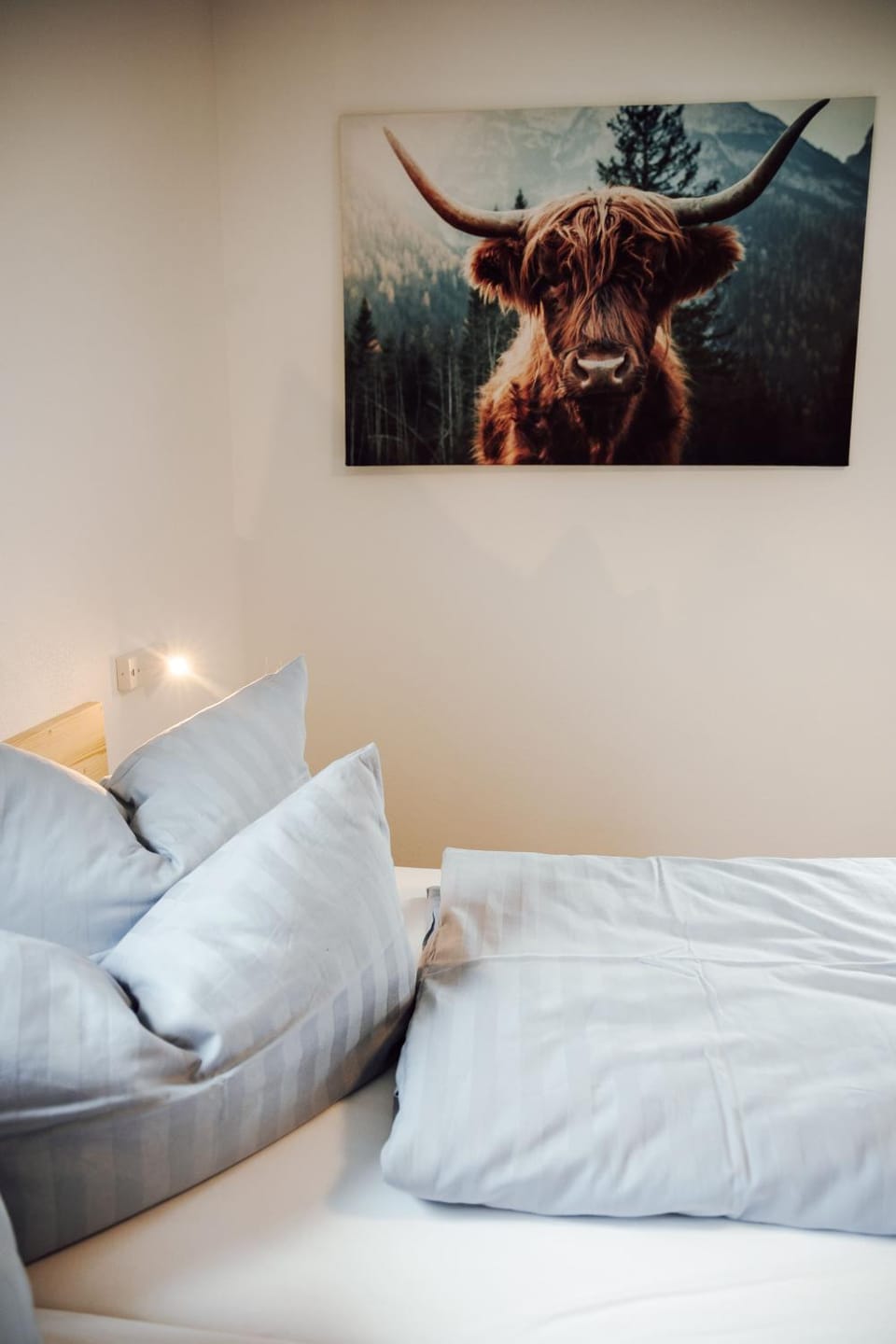 Bed, Photo of the whole room, Decorative detail