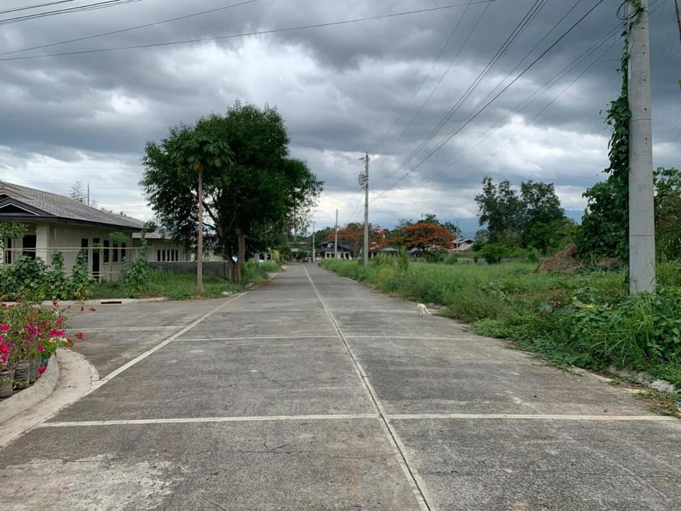 Neighbourhood, Street view