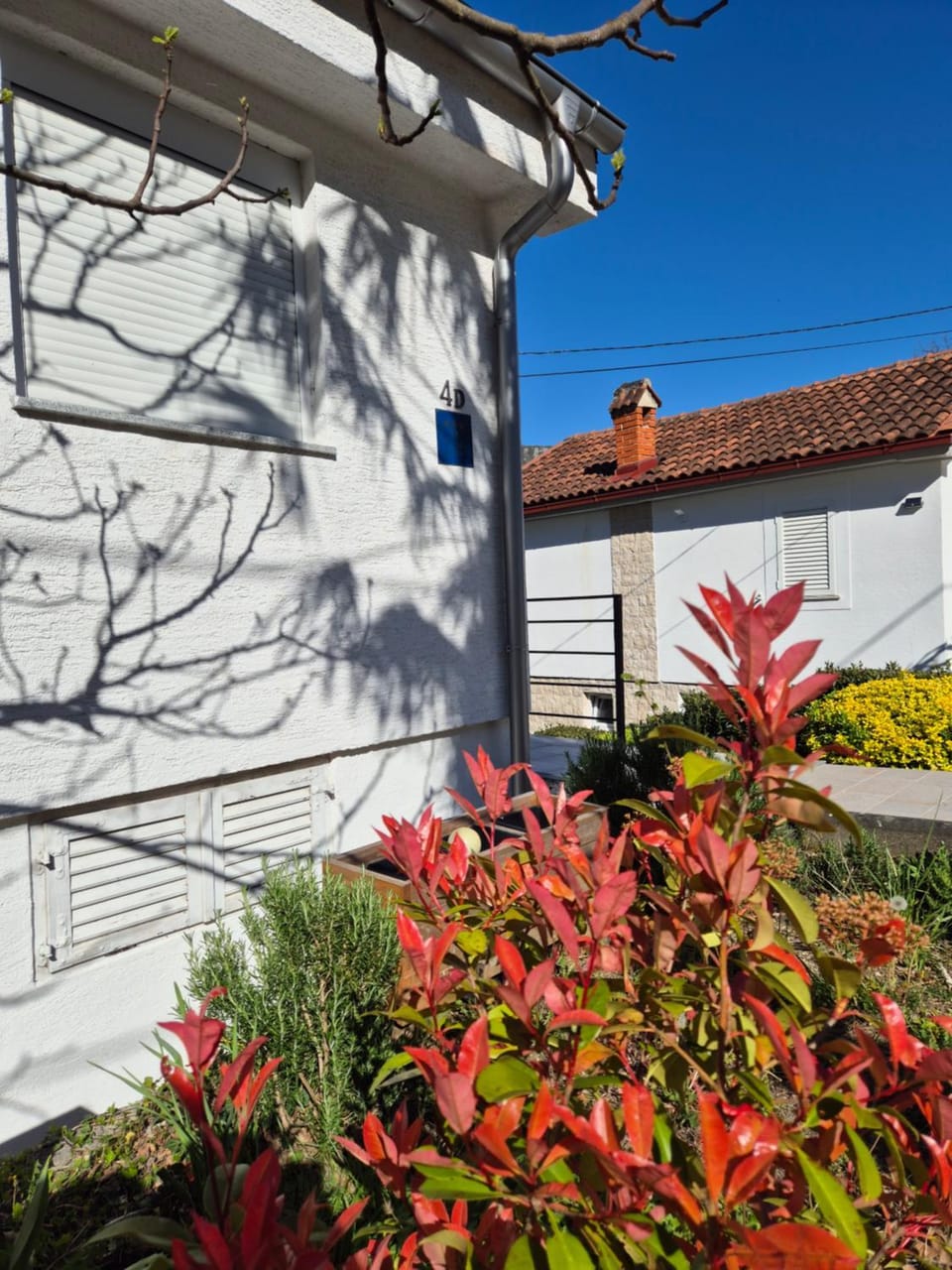 Property building, Garden