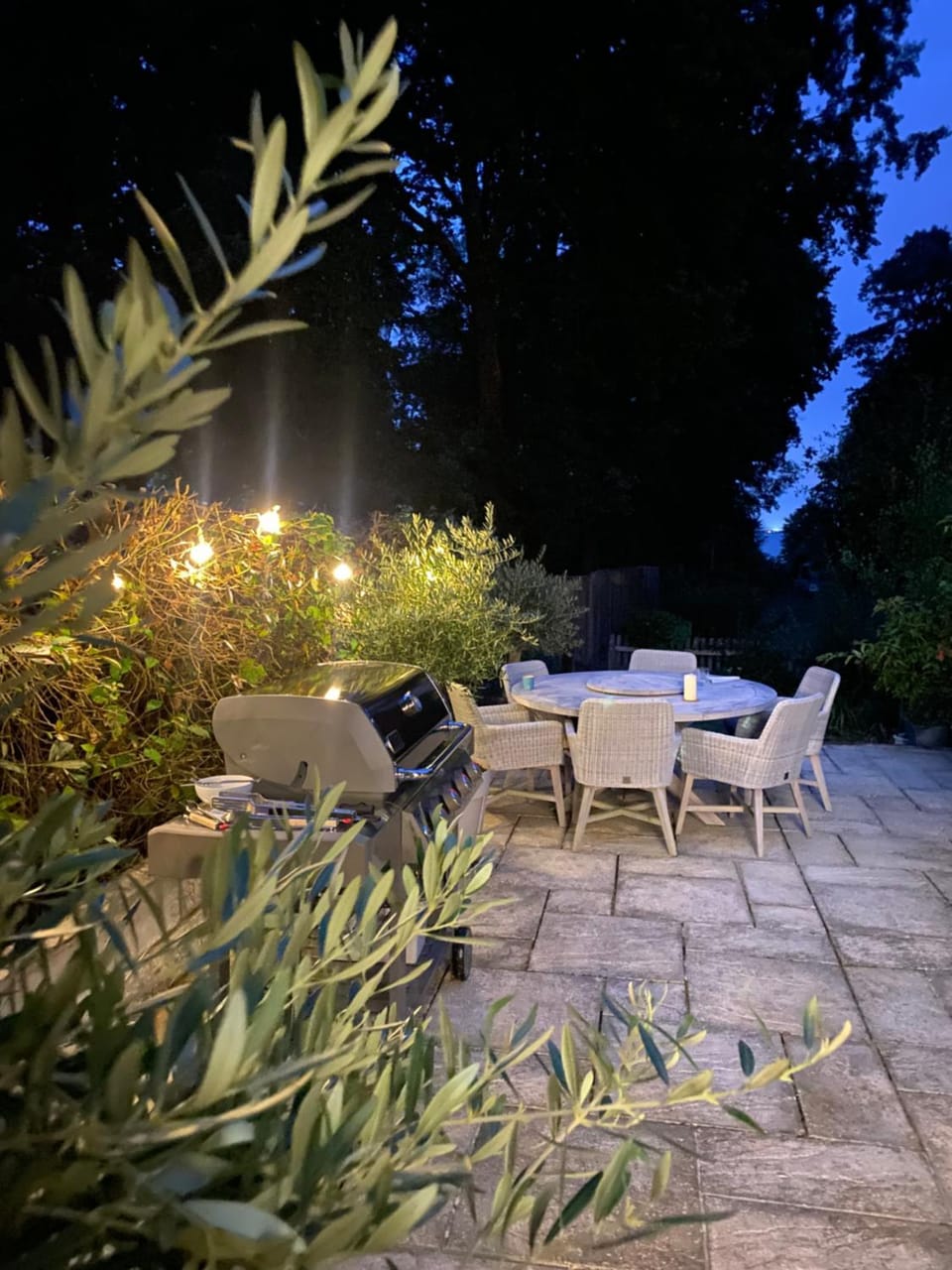 Patio, BBQ facilities, Garden, Seating area, Garden view