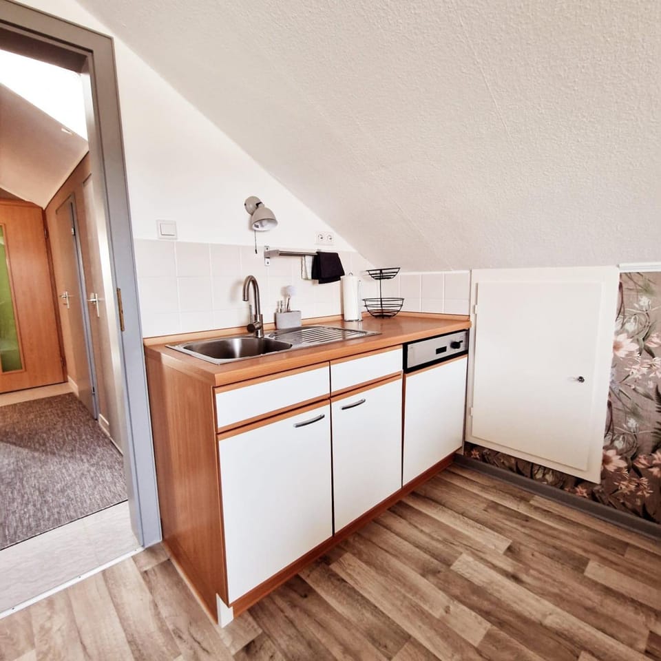 Kitchen or kitchenette, kitchen