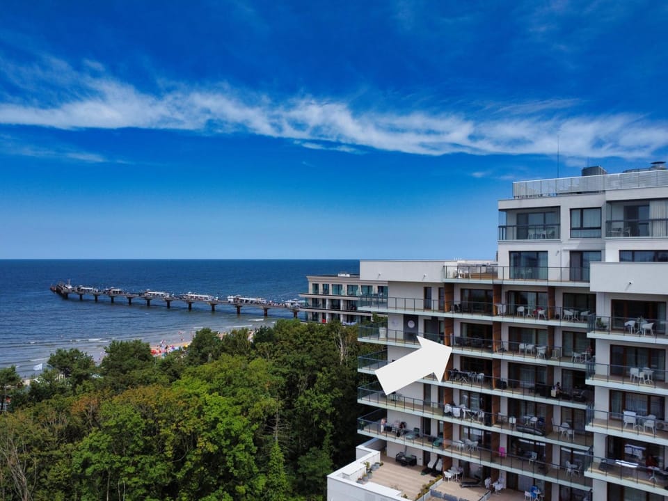 Property building, Bird's eye view, Summer, Location