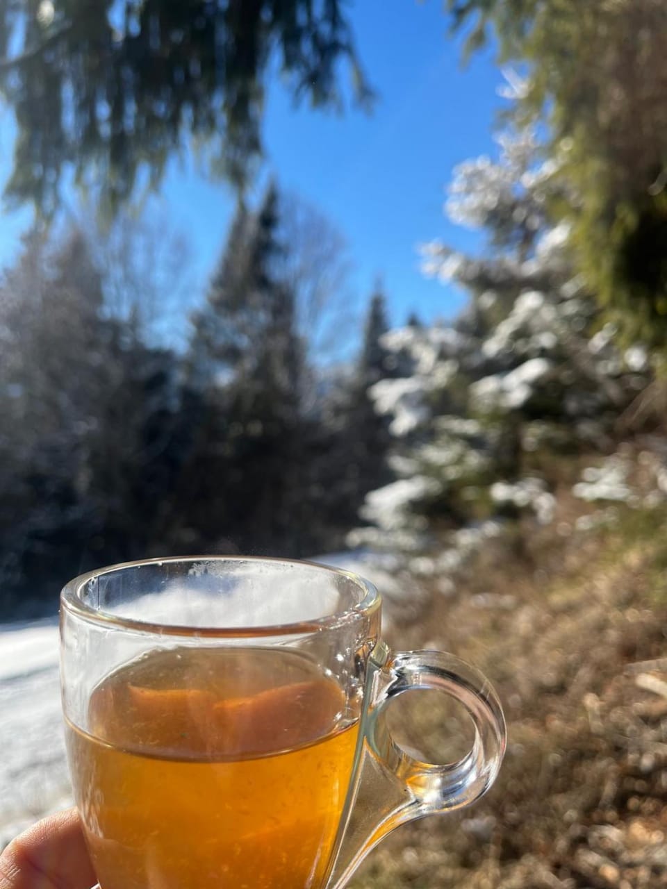 Day, Winter, Food and drinks, Drinks