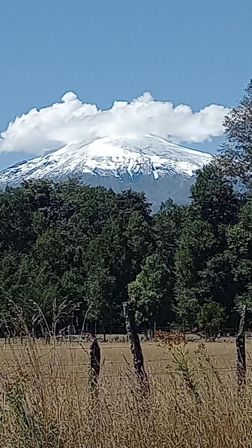 Natural landscape