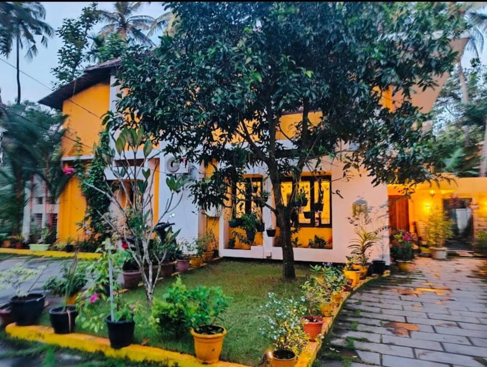 Property building, Garden