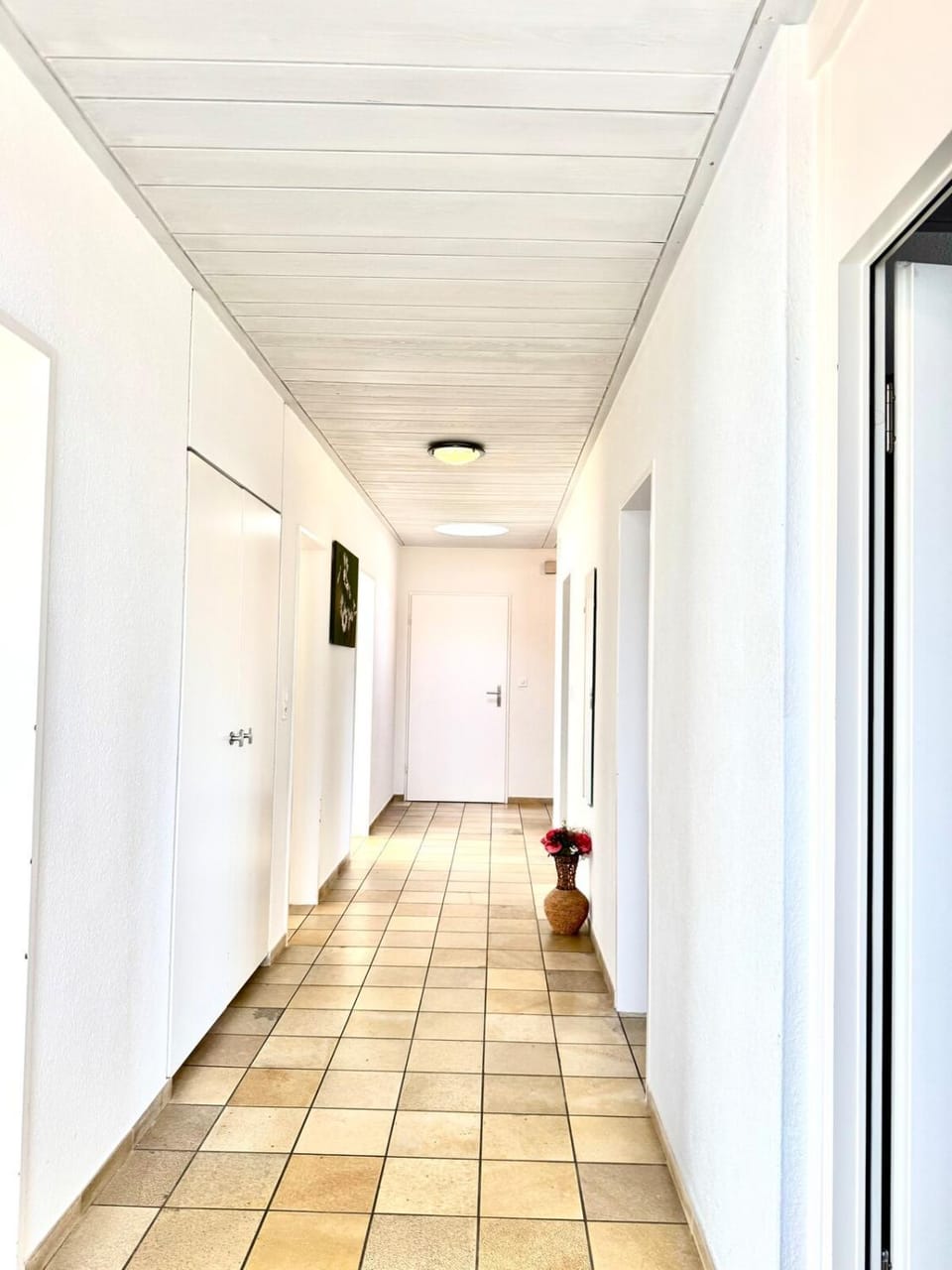 Private 5 bedroom for large Groups Apartment in Aargau, Switzerland