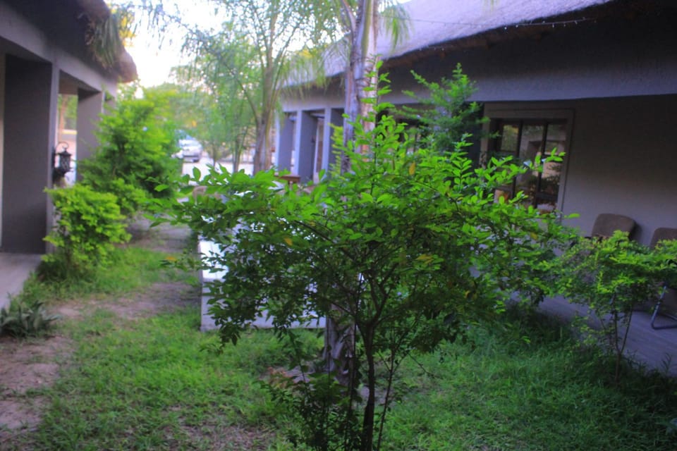 View (from property/room)