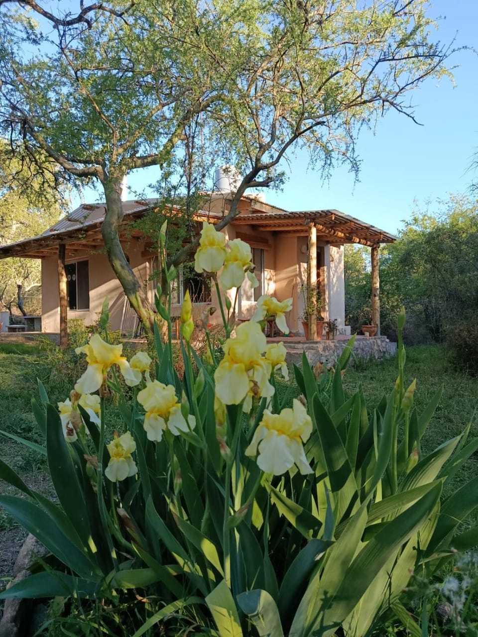 Chañar Apartment in San Luis Province, Argentina