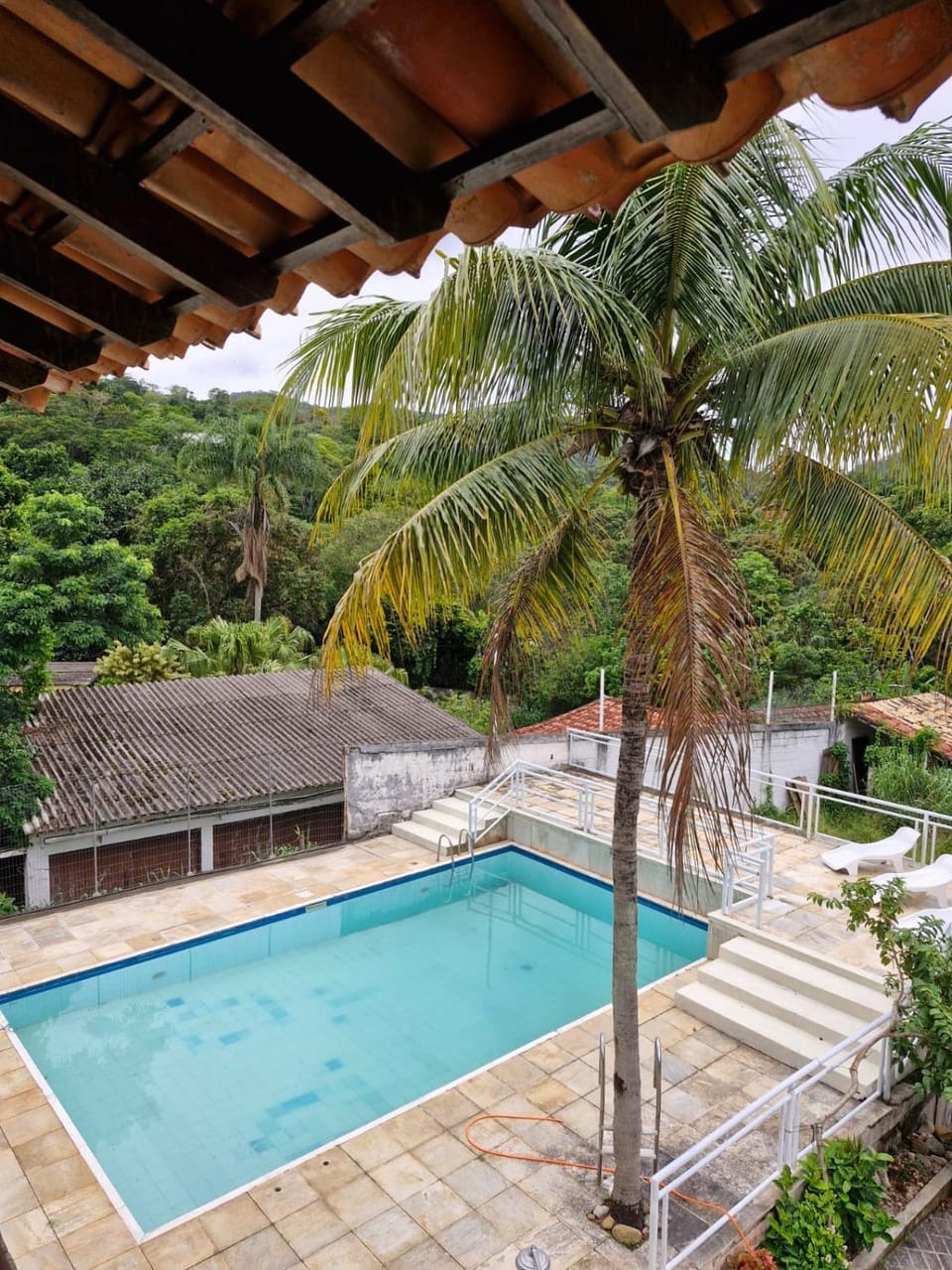 Spring, Day, Garden, Garden view, Pool view, Swimming pool, sunbed