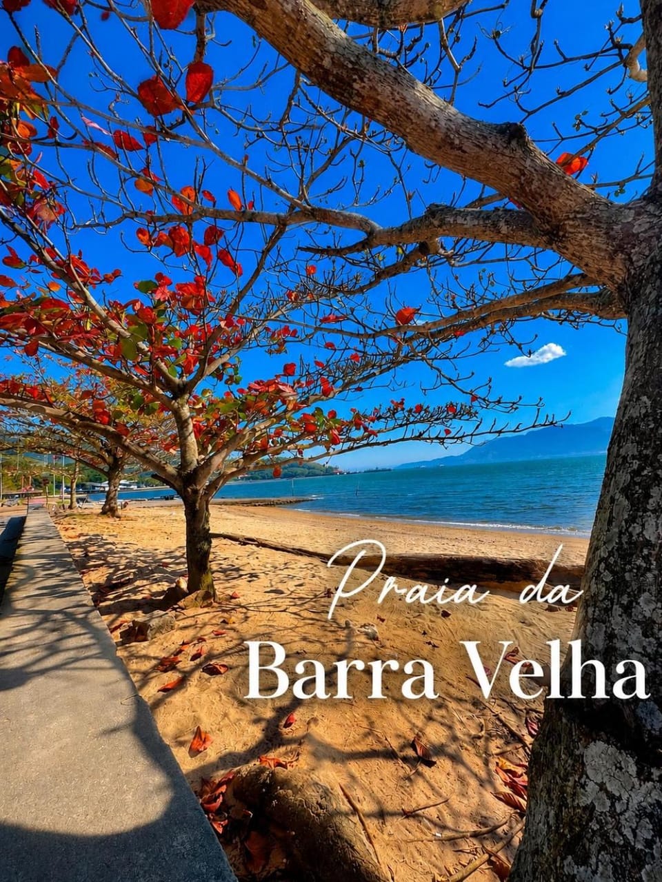 Flat próximo da balsa com ar condicionado e churrasqueira Vacation rental in Ilhabela