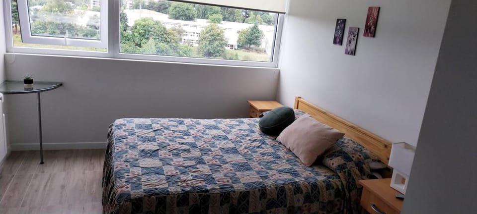 Isla TEJA Apartment in Valdivia