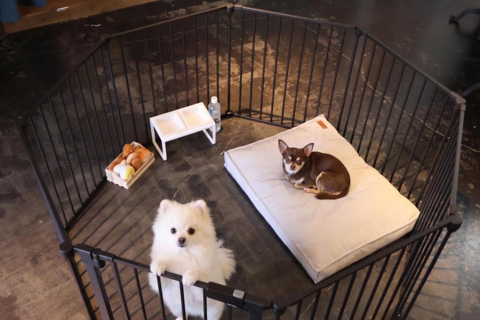 Pets